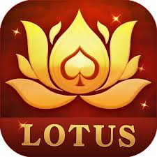 13 patti rummy download